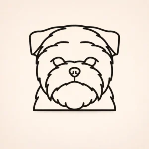 Affenpinscher