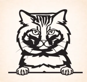 Amerikaanse bobtail