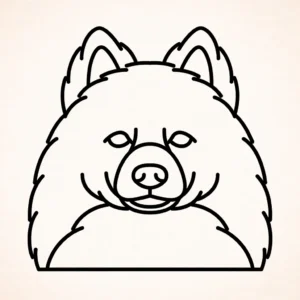 Amerikaanse eskimo hond