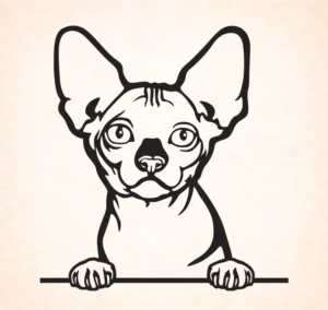Bambino