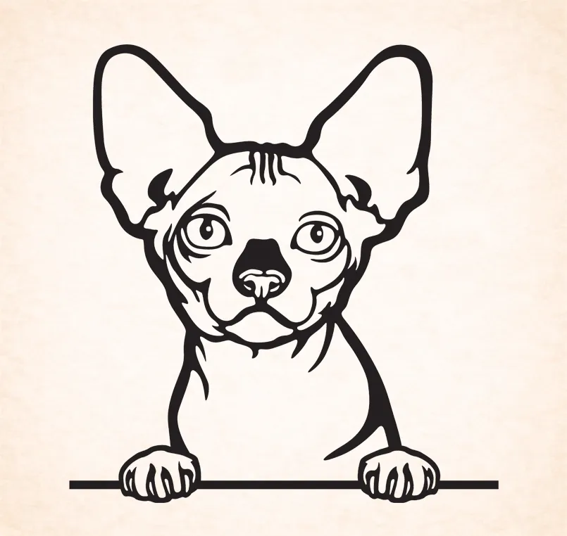 Bambino