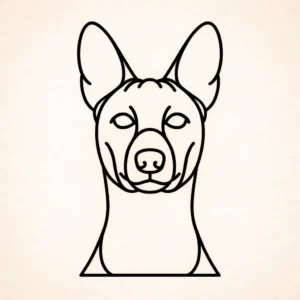 Basenjis