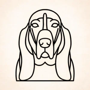 Basset Hound