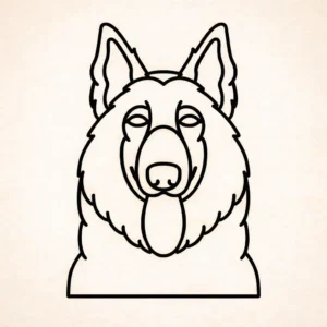 Belgische Tervuren