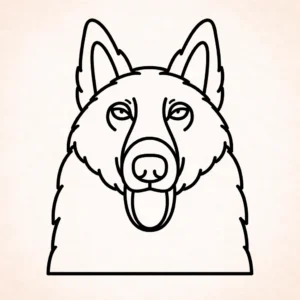 Belgische herder
