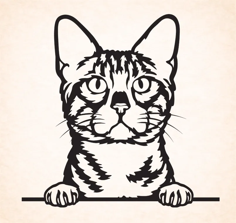 Bengal