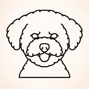 Bichon Frise