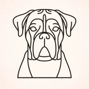 Boxer