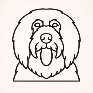 Briard
