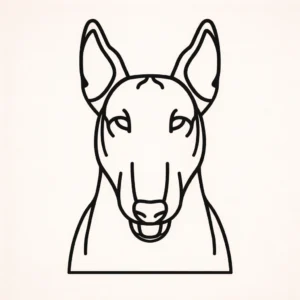 Bull terrier