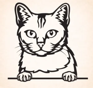 Burmilla