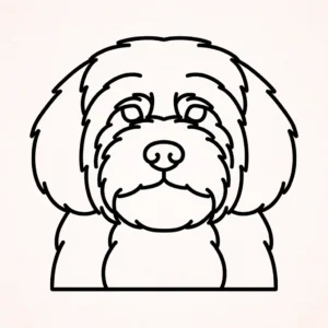 Cavoodle
