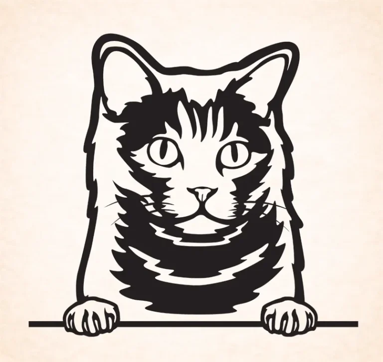 Chartreux