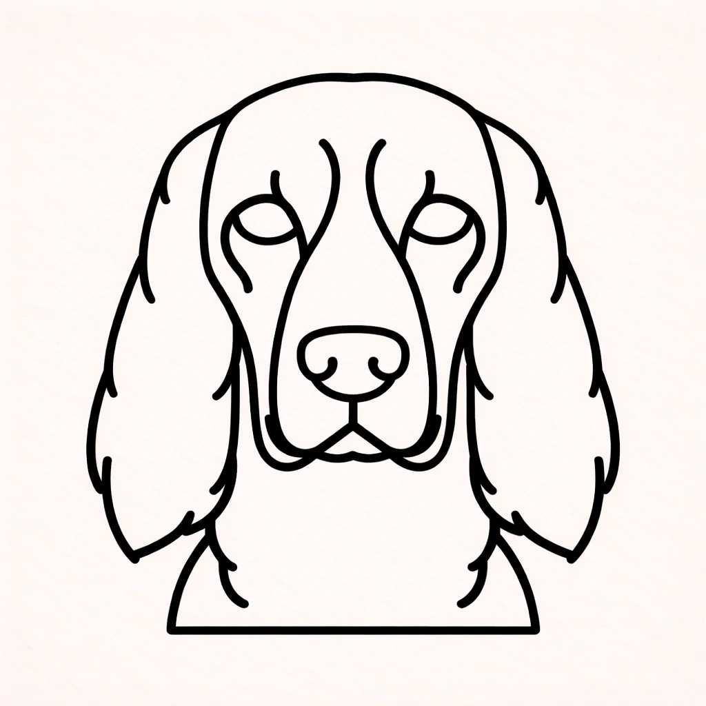 Cocker Spaniel