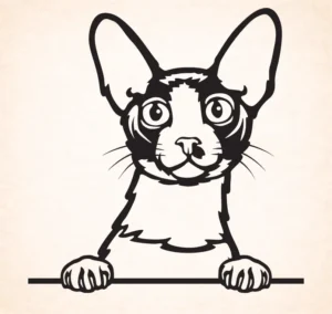 Cornische Rex – Devon Rex