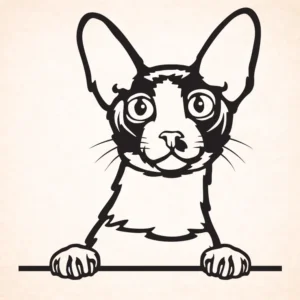 Cornische Rex - Devon Rex