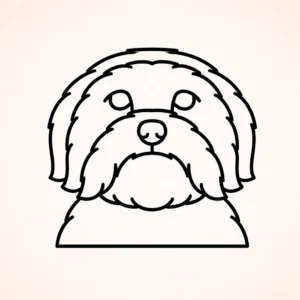 Coton de Tulear
