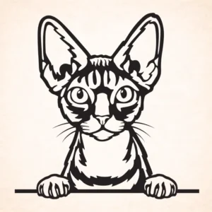 Devon Rex
