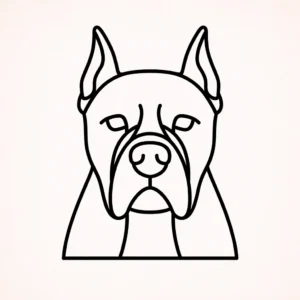 Dogo Argentino