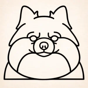 Dwergkeeshond
