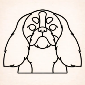 Engelse toy spaniel