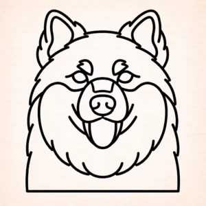 Finnish lapphund