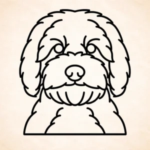 Golden doodle