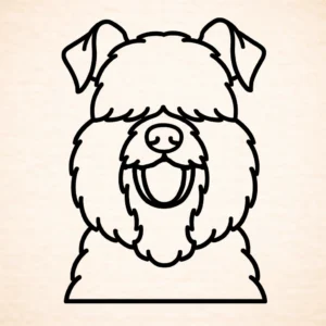 Kerry Blue terrier