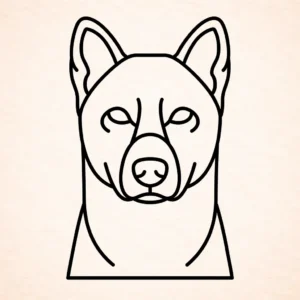 Korea Jindo