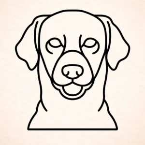 Kuvasz