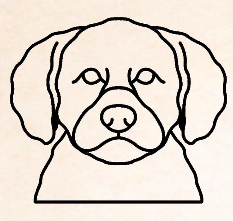 Lagotto Ramagnolo