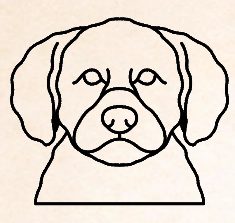 Lagotto Ramagnolo