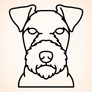 Lakeland terrier