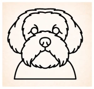 Lhasa Apsos