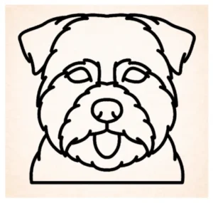 Norfolk terrier