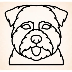 Norfolk terrier