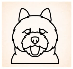 Norwich terrier