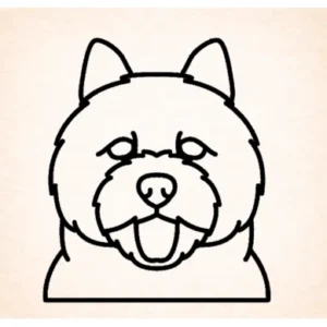 Norwich terrier