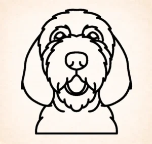 Otterhound