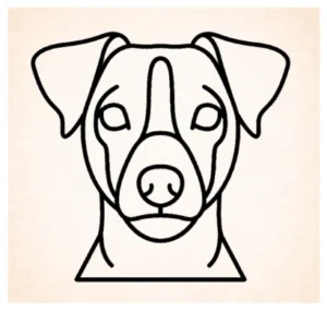 Parson Russell terrier