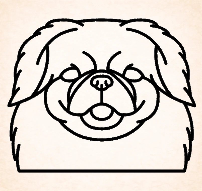 Pekingese