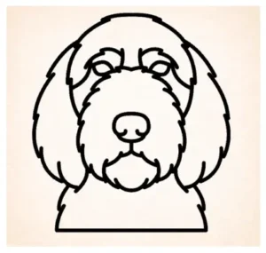 Petits Bassets Griffons Vendeens