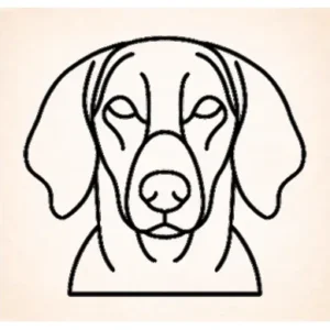 Plott hounds