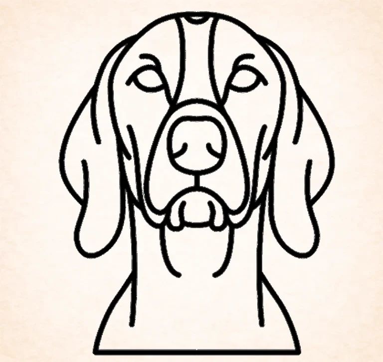 Pointer