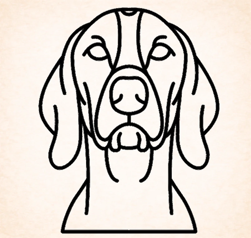 Pointer