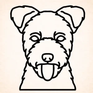 Pumi