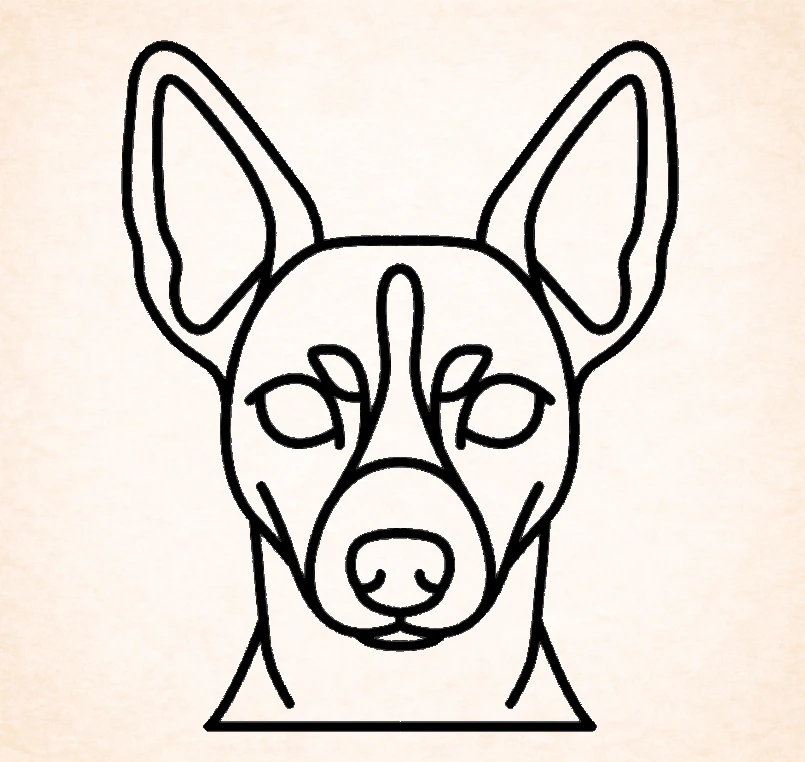 Rat terrier