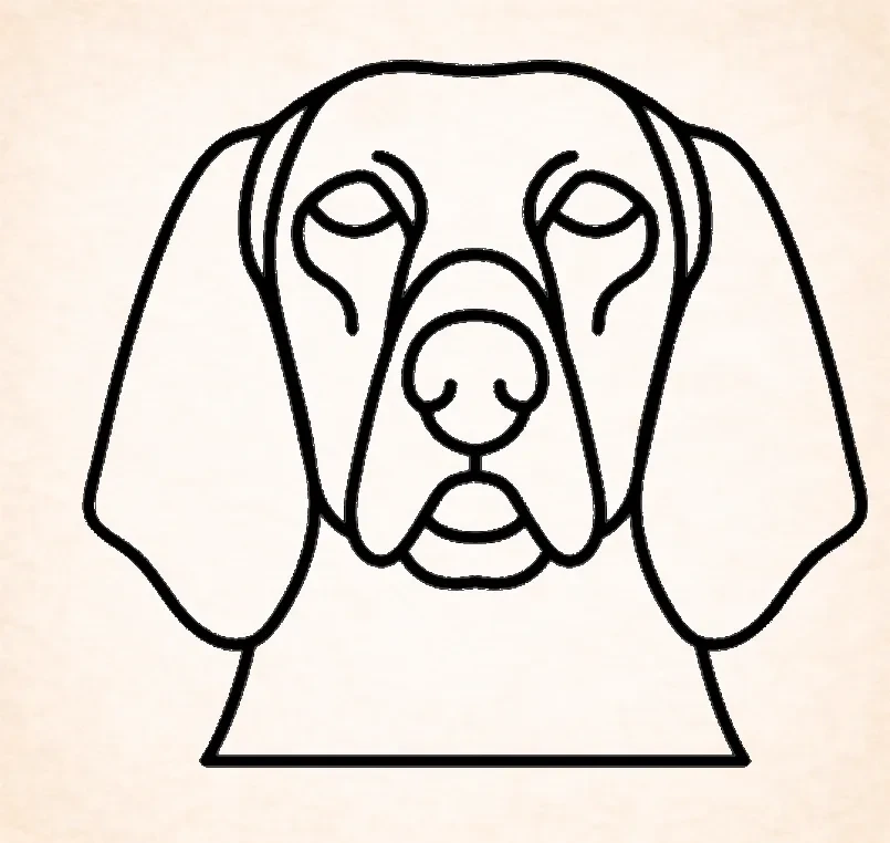 Redbone Coonhound