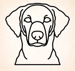 Retriever (Curly-Coated)