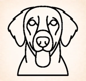 Retriever (Flat Coated)